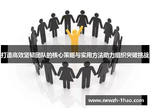 打造高效坚韧团队的核心策略与实用方法助力组织突破挑战