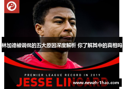 林加德被调侃的五大原因深度解析 你了解其中的真相吗 林加德被调侃的五大原因深度解析 你了解其中的真相吗